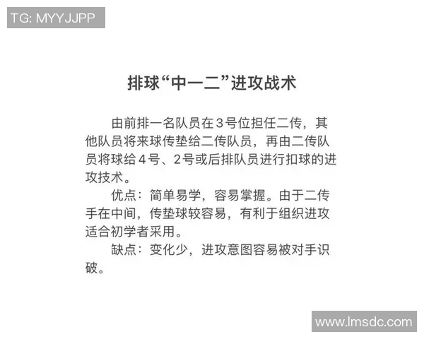 上海排球队进攻策略深度解析与战术创新探讨